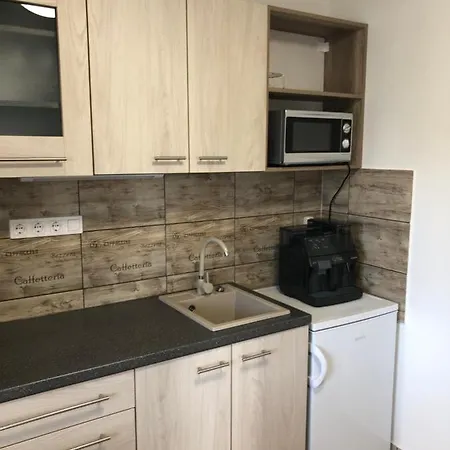 Elvira Vendeghaz Apartment Kisbodak Exterior photo