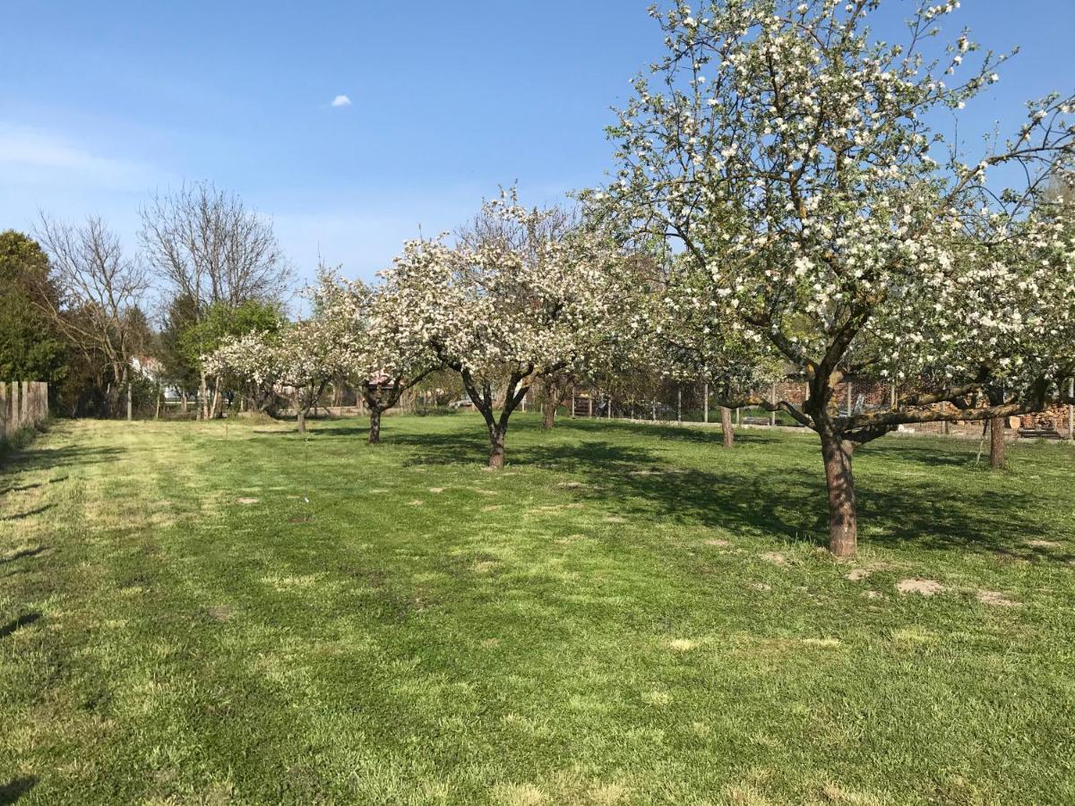 Elvira Vendeghaz Apartament Kisbodak