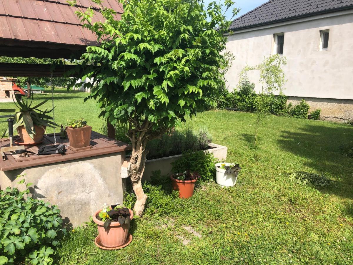Elvira Vendeghaz Apartament Kisbodak